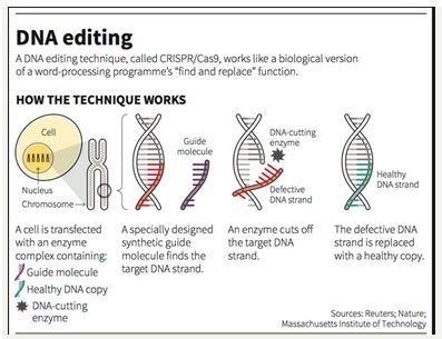 How DNA editing works 