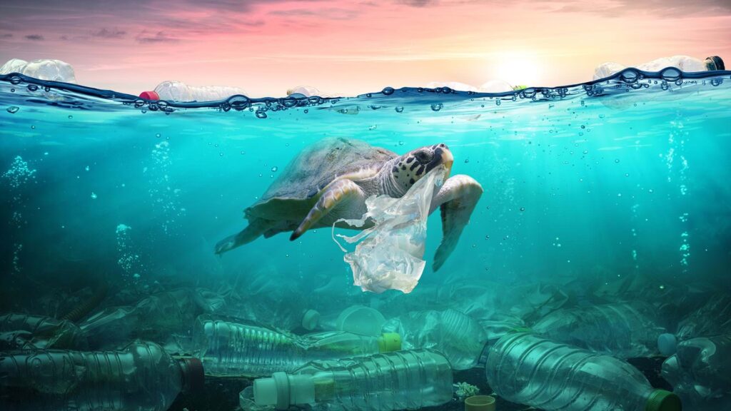 Plastic pollution