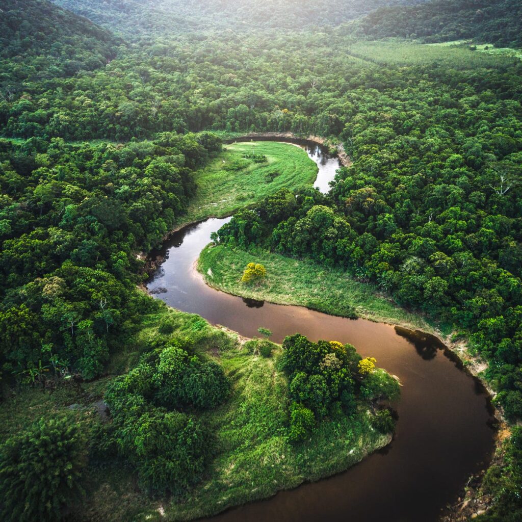 Amazon rainforest