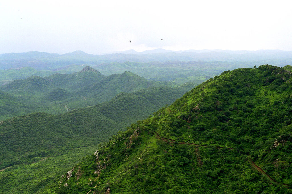 Aravalli Aravalli