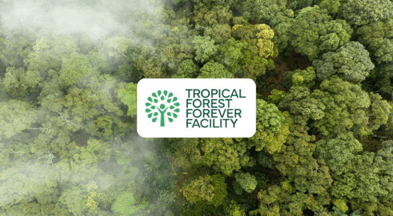 Read more about the article COP30: Tropical Forests Forever Facility (TFFF)